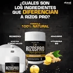Rizos Pro – Definición al Instante